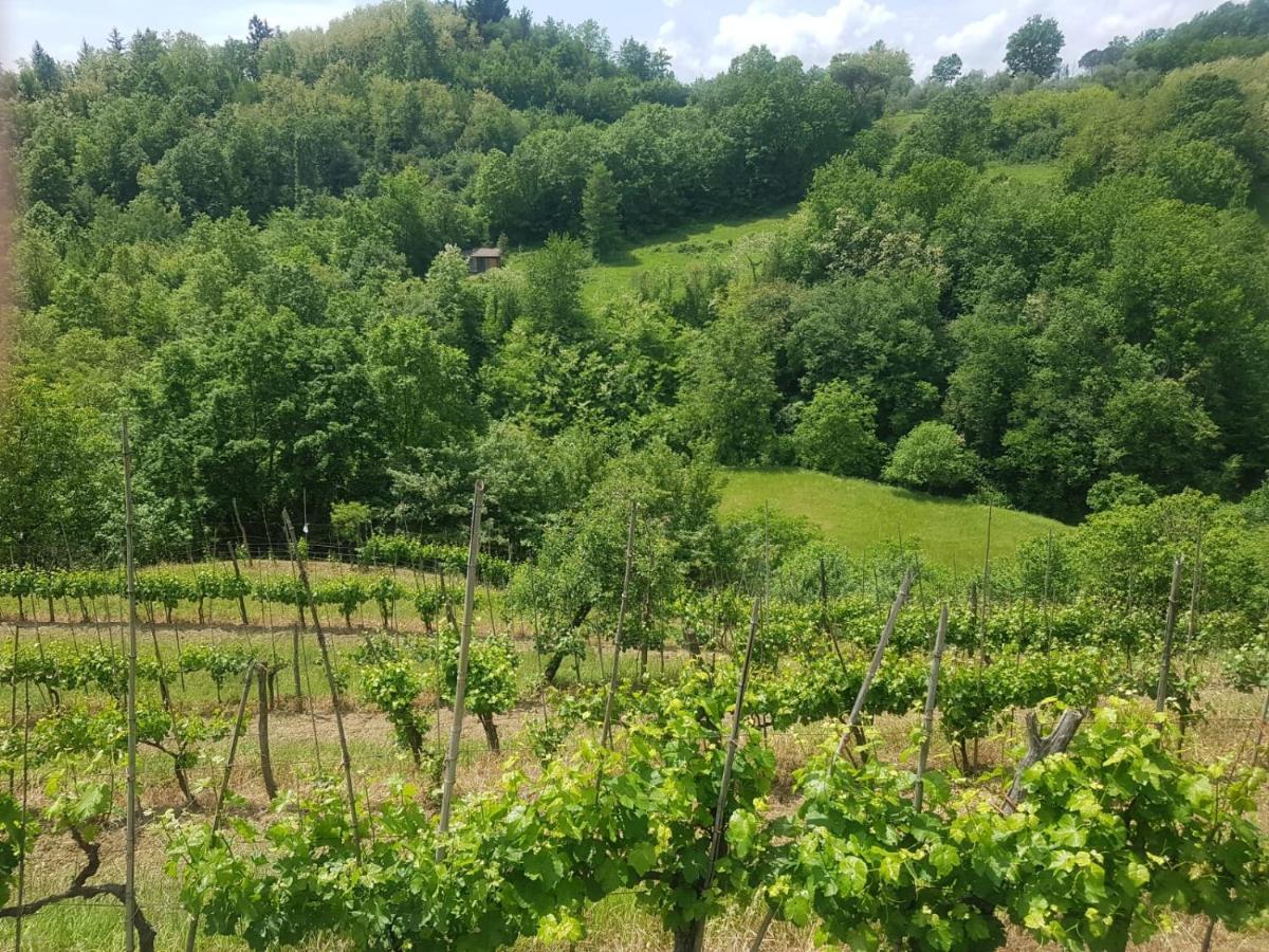 Willa Casa Del'Orto Bigliolo Zewnętrze zdjęcie